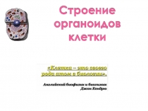 Презентация по биологии 10 класс