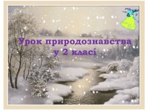 Презентація до уроку природознавства Зима. Ознаки зими в неживій природі (2 клас)