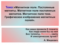 Презентация к уроку Магнитное поле Земли (9класс)