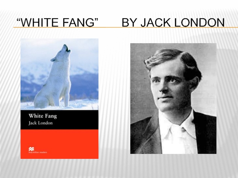 Jack london white