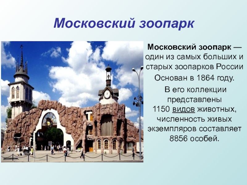 Московский зоопаркМосковский зоопарк — один из самых больших и старых зоопарков РоссииОснован в 1864 году. В его коллекции представлены 1150 видов животных, численность