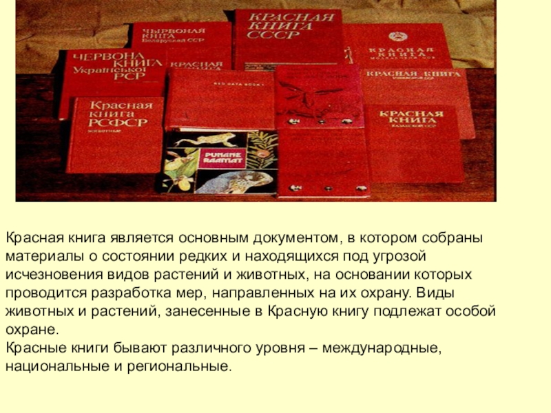 Книга про является подзаголовком. Красная книга является основным документом в котором. Уровни красных книг. Книги документы. Книга является.