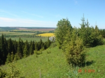 Классный час на тему Природа нашего края (1 класс)