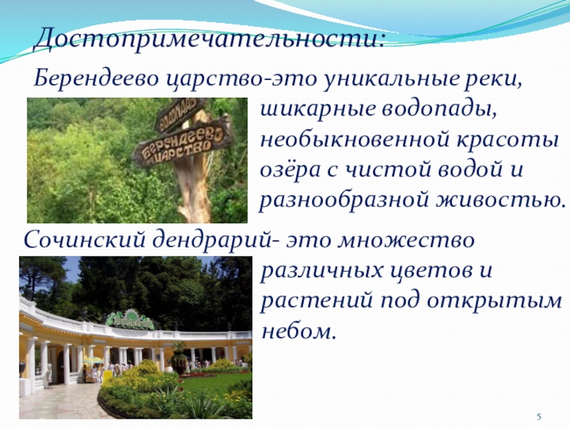 Парк сочинский 4 класс. Дендрарий Сочи презентация. Сочинский Дендрарий сообщение. Доклад про Дендрарий в Сочи. Проект Сочинский Дендрарий.