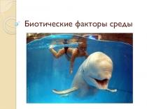 Презентация по теме Биотические факторы среды