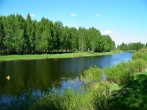 Презентация по окружающему миру во 2 классе Правила поведения в лесу и на воде