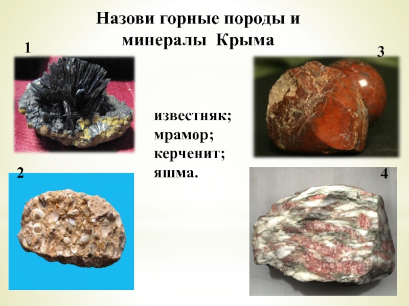 Назови горные породы и минералы Крымаизвестняк; мрамор;  керченит; яшма. 1324