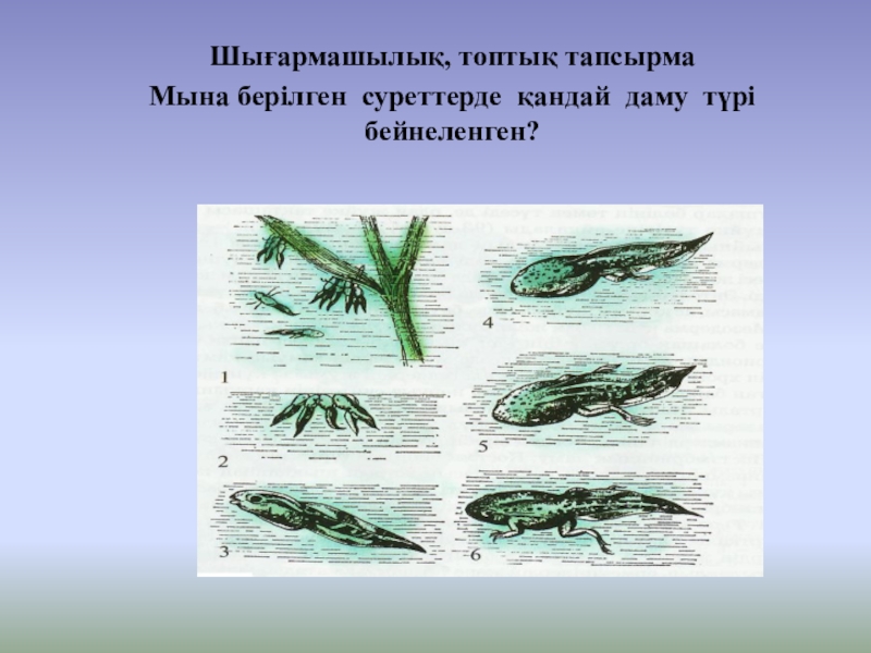 Ағзалардың жеке дамуы түсінігі 7 сынып презентация