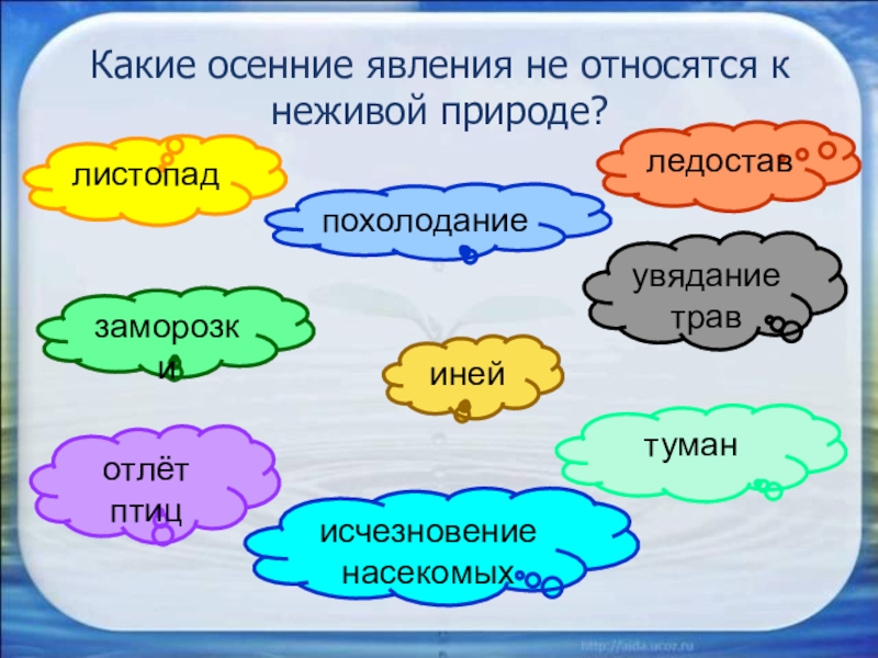 Осенние явления в неживой. Какие осенние явления. Осенние явления в неживой природе. Какие осенние явления в неживой природе. Какие осенние явления относятся к неживой природе.