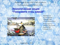 Презентация Покормите птиц зимой