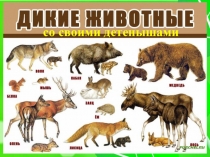Презентация по миру природы на тему Дикие животные