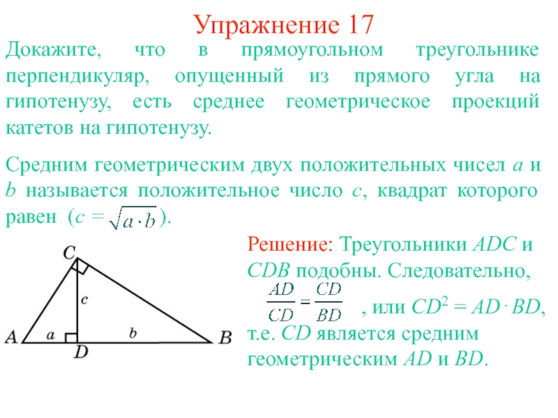 Чему равен перпендикуляр в прямоугольном треугольнике