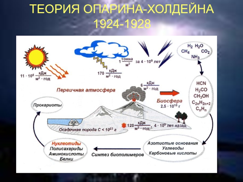 Возникновение жизни на земле презентация 11 класс биология