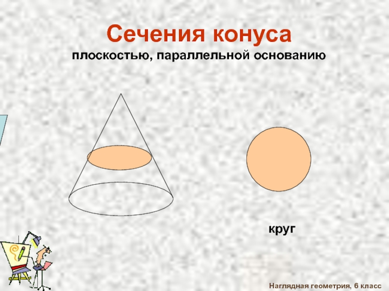 Наглядная геометрия 6. Сечение конуса с цилиндром. Сечение конуса и цилиндра плоскостью. Сечение конуса плоскостью 6 класс. Замечательные кривые 6 класс наглядная геометрия.