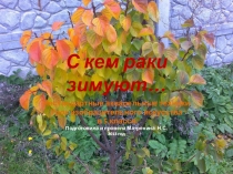 Презентация к уроку изобразительного искусства в 5 классе Нестандартные акварельные техники