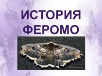 История феромона