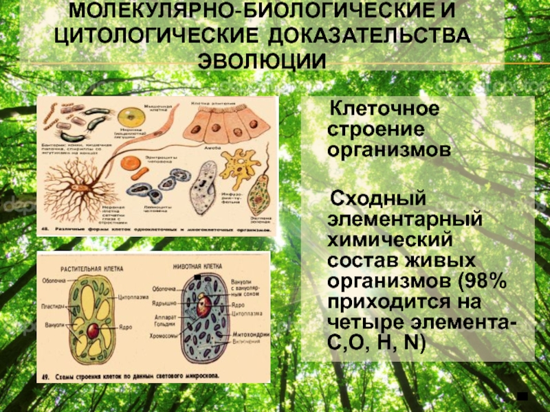 В ходе биологического. Молекулярно-биологические доказательства эволюции. Молекулярно-биологические и цитологические доказательства. Биологические доказательства эволюции. Молекулярно-биологические и цитологические доказательства эволюции.