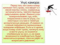 Презентация урока по ОБЖ на тему: Оказание ПМП при укусах насекомых и змей Урок 3 (6 класс)