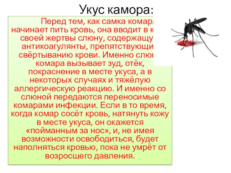 Оказание первой медицинской помощи при укусах змей и насекомых обж 6 класс презентация