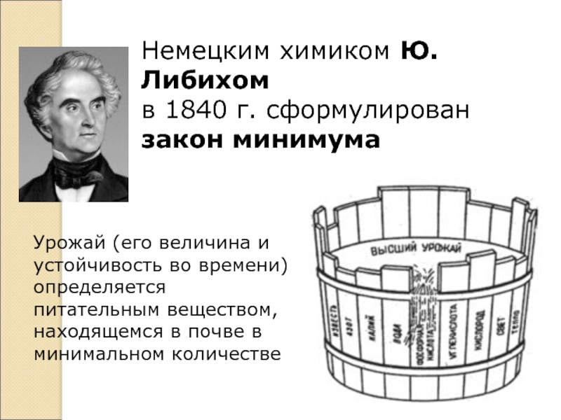 Немецким химиком Ю. Либихомв 1840 г. сформулированзакон минимума Урожай (его величина и устойчивость во времени) определяется питательным
