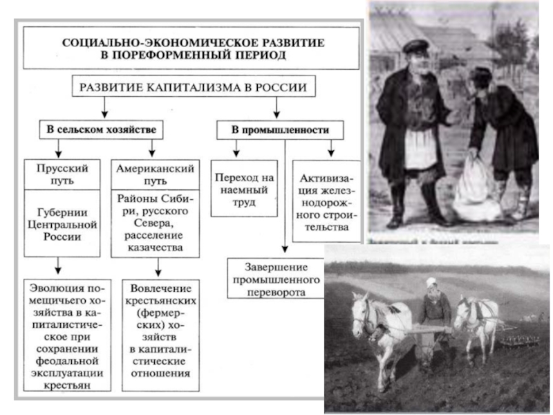 7 класс экономическое развитие. Сельское хозяйство в пореформенный период. Сельское хозяйство в пореформенной России. Социально-экономическое развитие России в пореформенный период. Сельское хозяйство в пореформенный период 19 века.