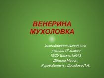 ПРезентация на тему Венерина Мухоловка