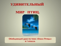 Презентация к уроку Удивительный мир птиц