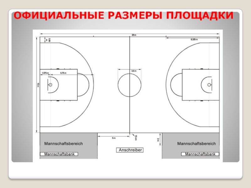 Баскетбольная площадка рисунок с размерами