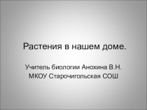 Презентация Растения в нашем доме