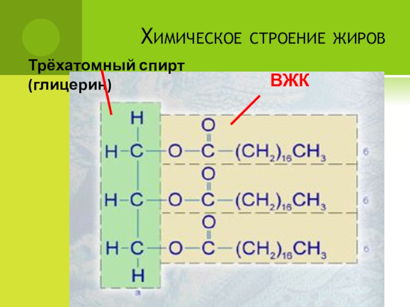 Строение жиров. Жиры строение. Хим строение жиров. Химическое строение жиров. Химическая структура жира.