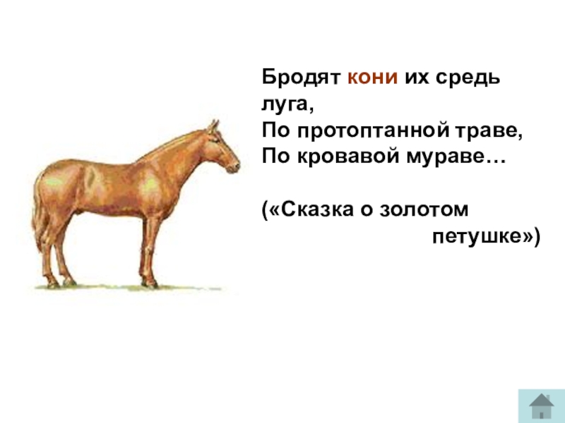 Предложения с словом конь