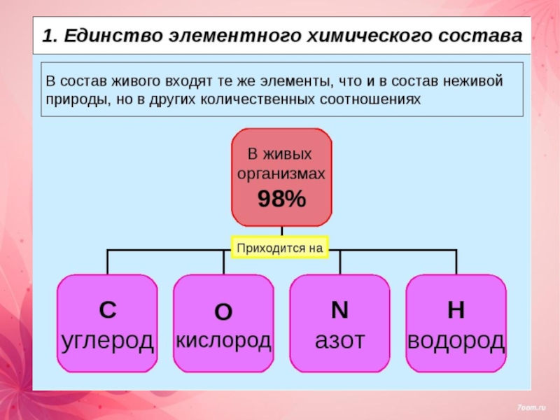 Основные химические соединения живой материи презентация 11 класс биология