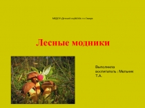 Грибы , грибы , грибочки