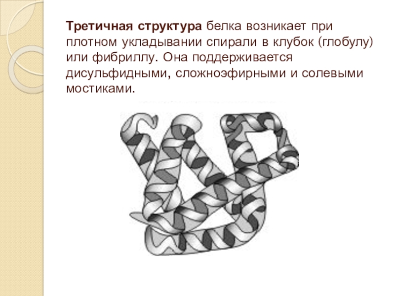 Осколок третичной эпохи джек лондон. Третичное строение белка. Третичная структура белка глобула. Третичная структур АБЕЛК. Третичная структура белка.