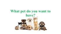 Презентация What pet do you want to have?