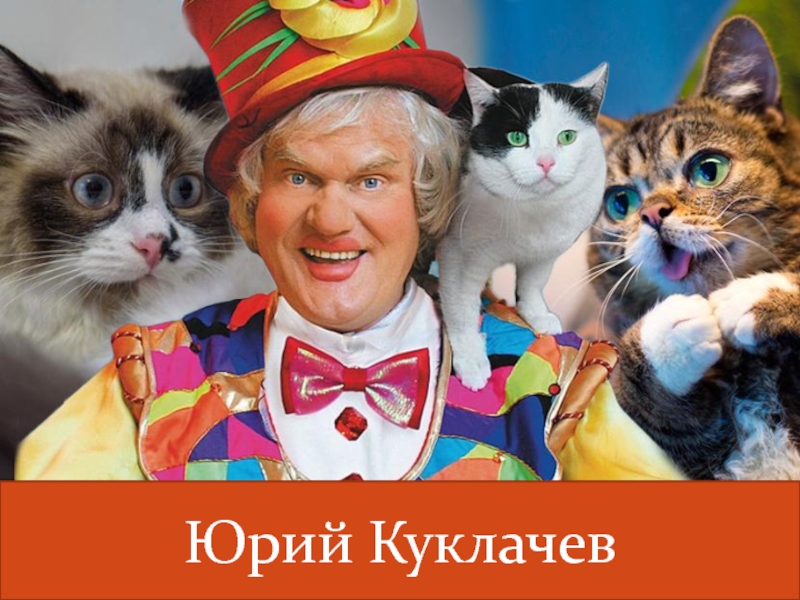 Куклачев биография дата. Кошки Юрия Куклачева. Театр кошек Юрия Куклачева.