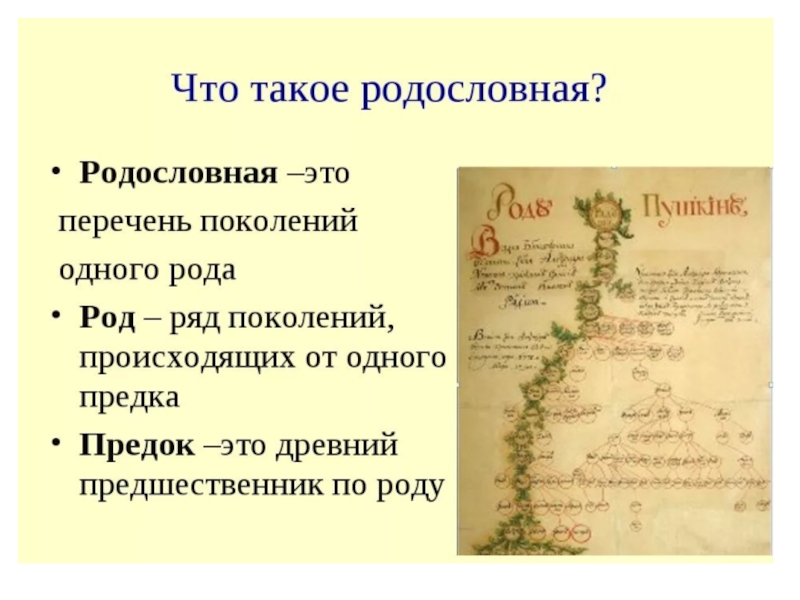 Проект по однкнр 5 класс моя родословная