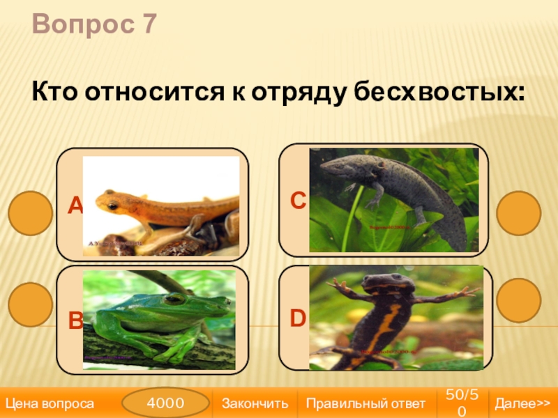 Кто относится. Кто относится к отряду бесхвостые. К бесхвостым амфибиям относятся. К отряду бесхвостых относятся тритоны. Игра земноводные.