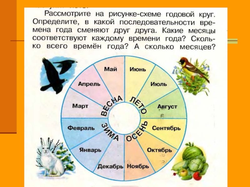 Лето пришло 1 класс пнш презентация окружающий мир