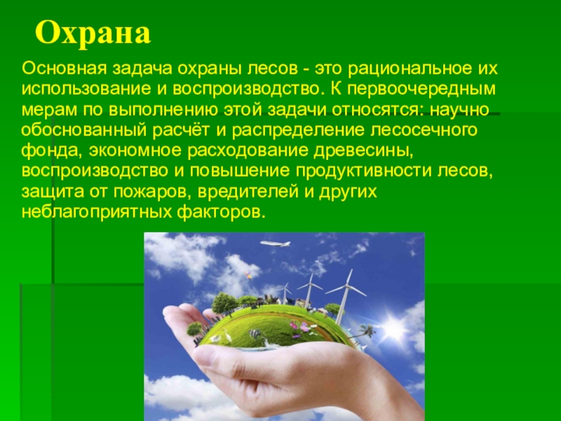 Охрана природы 5 класс. Охрана растений презентация. Презентация на тему охрана растений. Охрана животных и растений. Способы охраны растений.