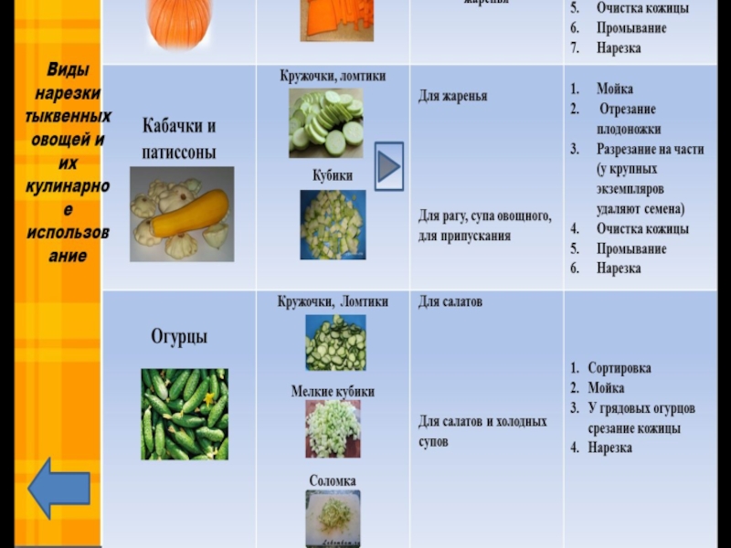 Нарезка и кулинарное использование. Форма нарезки плодовых овощей таблица. Виды и формы нарезки овощей. Обработка плодовых овощей схема. Нарезка плодовых овощей.