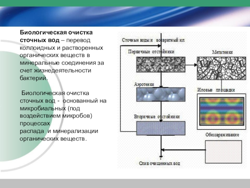 Схема биологической очистки воды