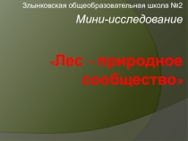 Презентация по окружающему миру Лес- природное сообщество