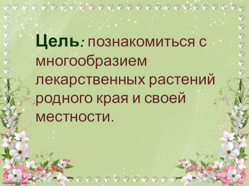 Презентация растения брянской области