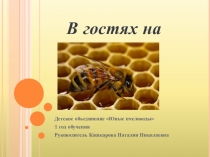 Презентация по пчеловодству на тему В гостях на пасеке (1 год обучения)