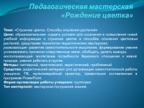 Педагогическая мастерская Рождение цветка