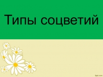 Презентация по биологии на тему Типы соцветий