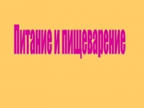 Презентация