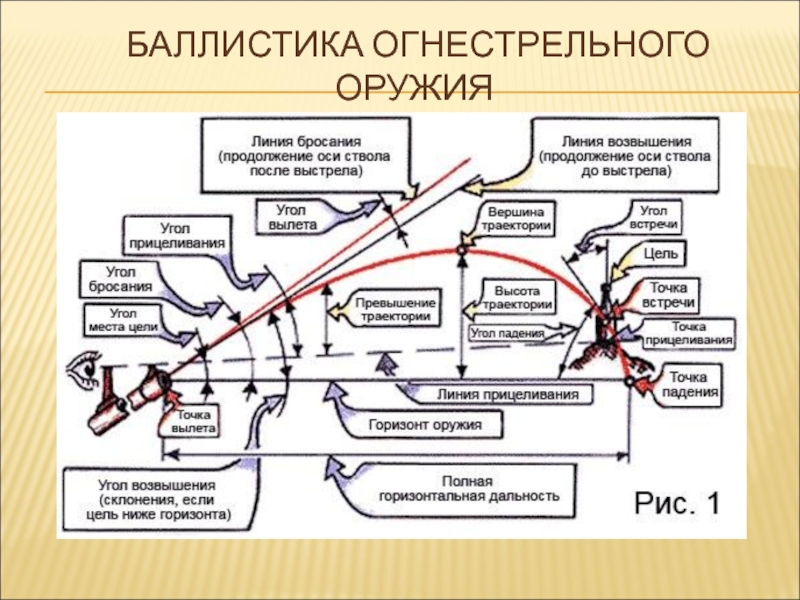 Тема баллистика