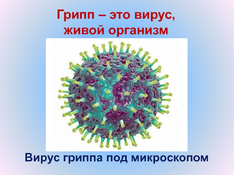 Вирус гриппа под. Вирус гриппа. Грипп под микроскопом. Вирус гриппа презентация. Вирусы это живые организмы.